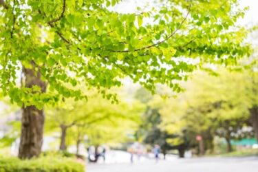 相続の前哨戦－親族による財産取り込みを解消したケース