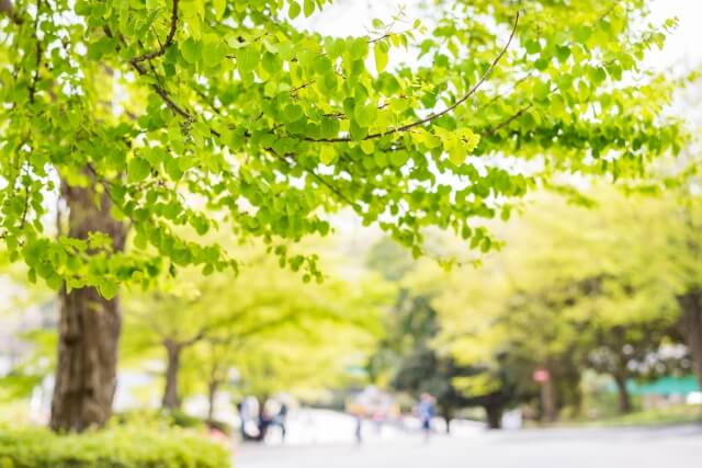 親族による財産取り込みを解消