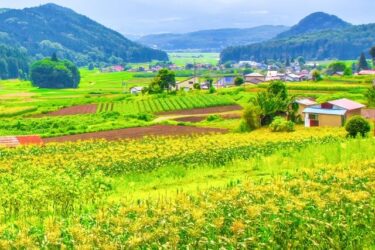 縁遠い先順位の相続人と交渉し、相続放棄させることができた解決事例