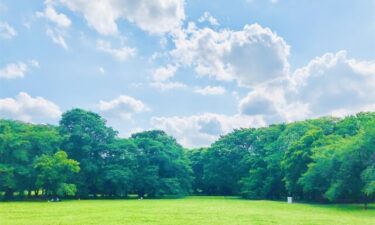 他の相続人全員に相続放棄させて単独相続を実現し、不動産売却を後押しした解決事例