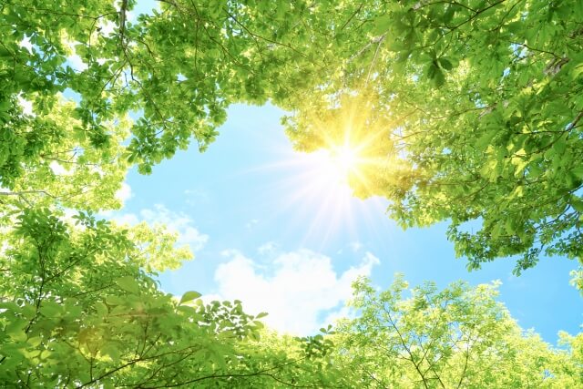 遺留分放棄の条件として相応の金銭をもらうことができた
