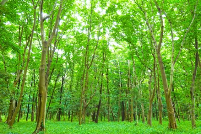 取り込んだ兄から相続分の金銭等を回収