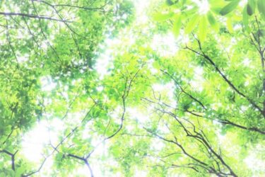 遺産分割協議書に不備があり相続登記ができないため、証書真否確認訴訟を提起し、勝訴判決を得て、相続登記できた遺産相続解決事例