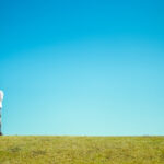 独身の兄の相続手続を放置する危険性とは？生前と死亡後に分けてできることを確認（相続 兄弟 死亡 独身）