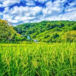 相続で田舎の土地はいらない！問題を次世代に残さないための考え方