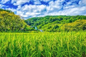 相続で田舎の土地はいらない！問題を次世代に残さないための考え方