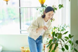配偶者居住権