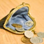 相続税を払えない場合の対処法。救済制度の種類と利用上の注意点